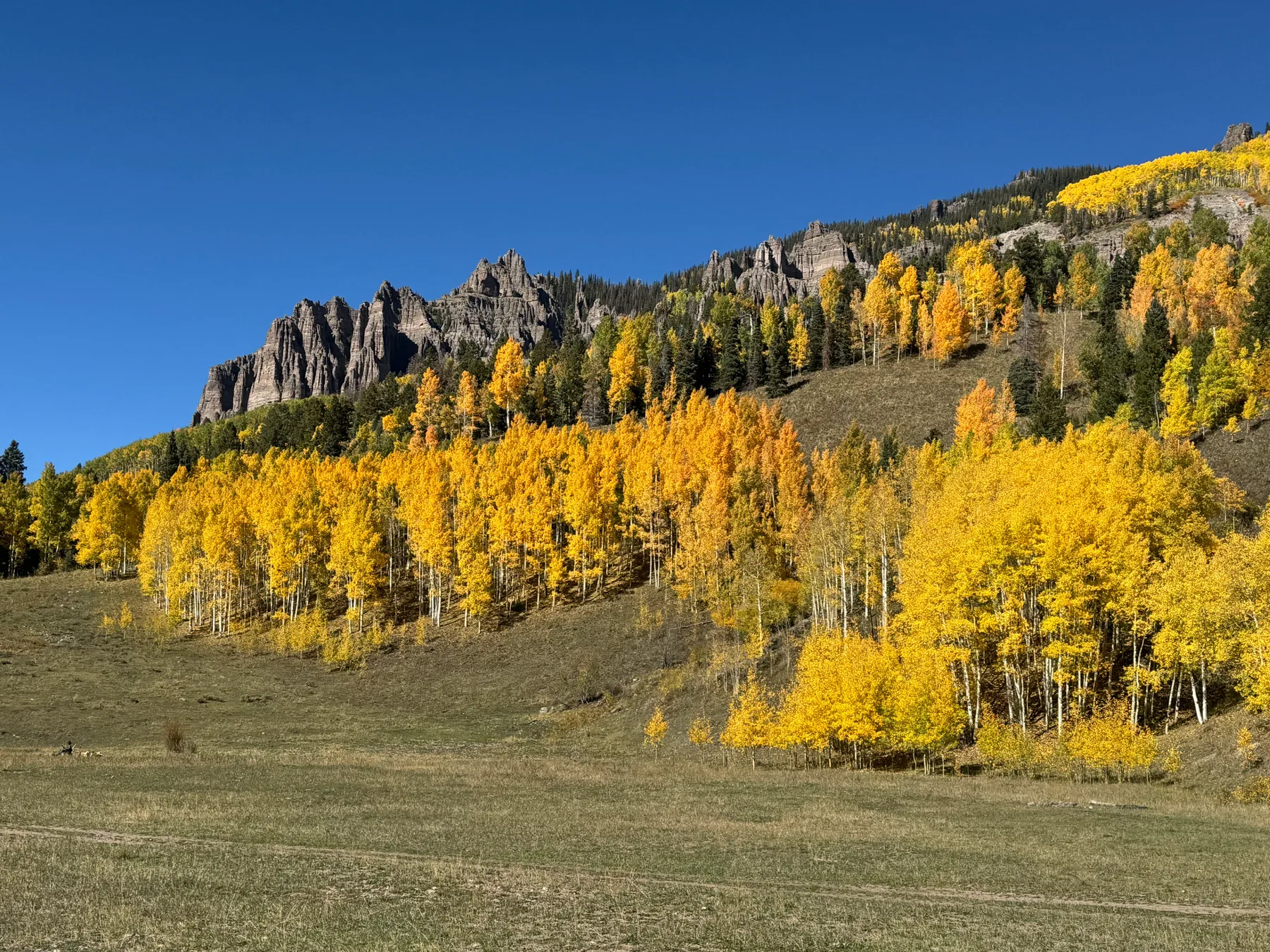 Actual autumn mountain landscape from the Picture Corral